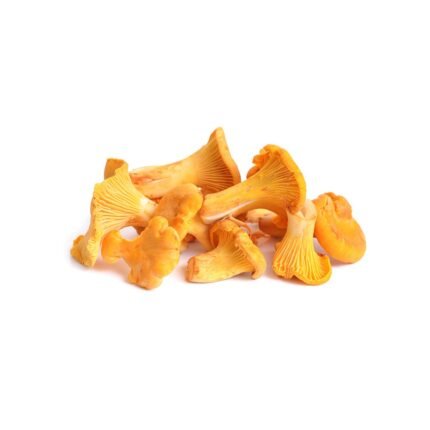 Girolles-Chanterelle Mushroom