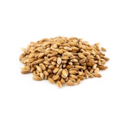 Whole Spelt