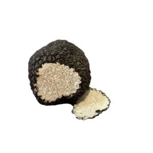 Summer Black Truffle Tuber Aestivum